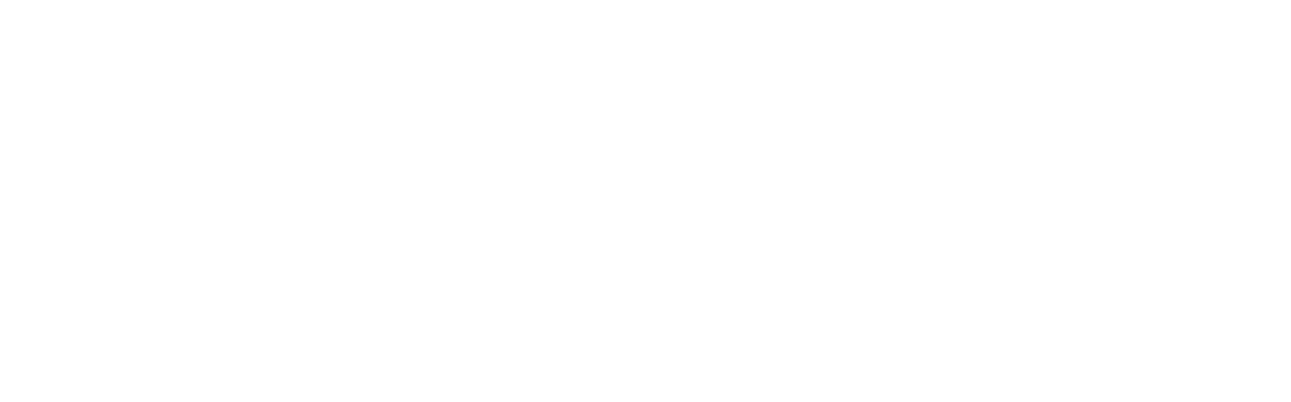logo-PS25